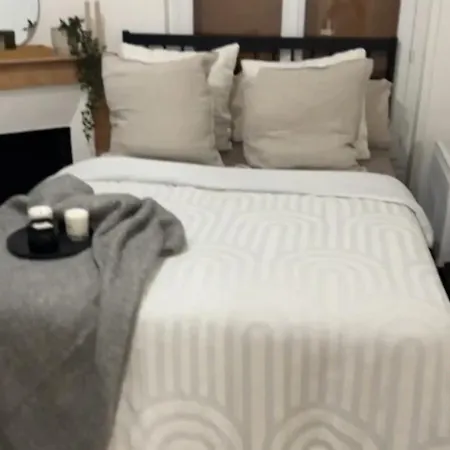 Appartement Cosy Haussmannien